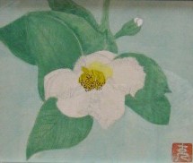 谷沢15