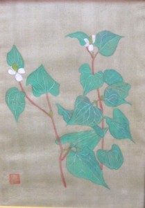 谷沢13